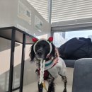 두카메디컬센터 이미지