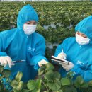 4차 산업혁명과 스마트 팜 이미지