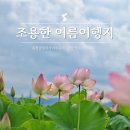 지선생 쌈촌 | 조용한 여름국내여행지 옥천 당일치기 코스
