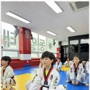 강인태권도 네이버블로그
