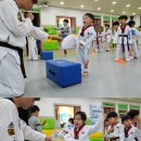 청용태권도장 이미지