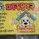 동물약국 이미지