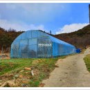 산촌개발민박 이미지