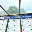 동방학교 | 평택피부관리 순수에스테틱 탄력관리 후기 (얼굴선, 심부볼, 땅콩얼굴, 탄력 고민 해결)