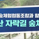 대구숲체험협동조합 이미지