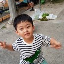 준기농장 이미지