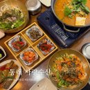 사랑의 밥집 | 부산 동래 밥집 사랑수산 가성비 좋은 점심특선 물회