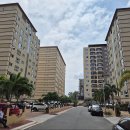 Talk Talk Talk 영어캠프 이미지