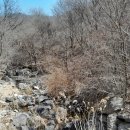 삼보쉼터 이미지