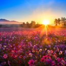 장흥 4리 이미지