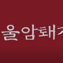 서울암퇘지 이미지