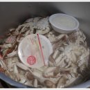 파장초교 이미지