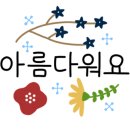 아이수안경콘택트