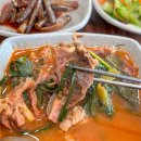 청솔흑염소 이미지