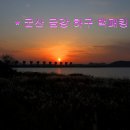 금강하구 철새도래지 Daum카페