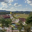 화락당 | 임실치즈테마파크 국화꽃 축제와 현지와물원의앞치마 by 화락당 방문 후기🍽️ 포토존 추천해요!