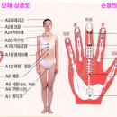 고려수지침 이미지