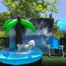 골프존파크 초전 시그니처점 이미지