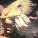 동인종합동물병원 이미지