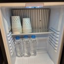 그린비 호텔 | 부산 서면 그린비 호텔 후기 | 서면역 도보 5분 내돈내산 깔끔한 숙소 추천 😴✨️