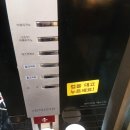 바담코다리 이미지