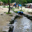 소백산삼가야영장 이미지