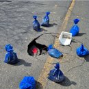 비인면행정복지센터 이미지