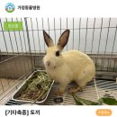 증평가정견훈련소 네이버블로그