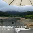 디저트39장성제니스점 | [광주] 장성 남댕이숲 물멍뷰 애견동반 가능한 카페 내돈내산