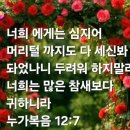 샬롬