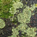 연지공원(북) 이미지