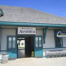 에이본리(avonlea)