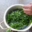 시골촌놈 이미지