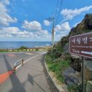 팰롱팰롱 이미지