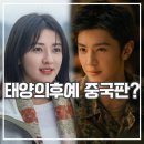 태양자원 | 백색감람수 리뷰 태양의 후예 표절 논란 직접 비교해 봤더니!