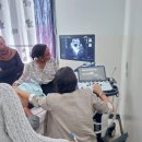 메디슨 코리아 이미지