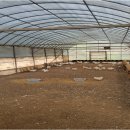 화성양계장 이미지