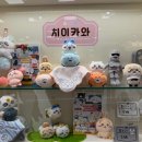 오픈마켓 | 용산 치이카와 마켓 오픈!! 후기 | 가격 예약 위치