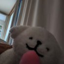 롯데월드 뽑기방 이미지