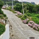 사랑채펜션 이미지