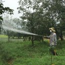 감나무한의원 이미지