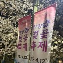 충훈매점 | 안양천 충훈 벚꽃길 위치 주차 방문후기