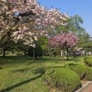 남매공원(들머리공원) 이미지