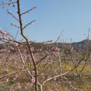 병태농장 이미지