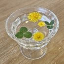 한밭대로 | 대전 연인어때 솔직후기