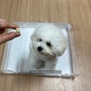 스마일인테리어 이미지