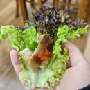 고성 삼겹살 전원가든 삼포해수욕장 근처 낚시 후 찾은 된장찌개 맛집