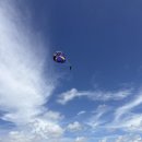 THE맑은약국 | 파타야 산호섬 반일투어 예약 전 필독! 아이와 함께 솔직 후기