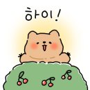 유카스테라 이미지