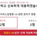 보라매동-19 이미지